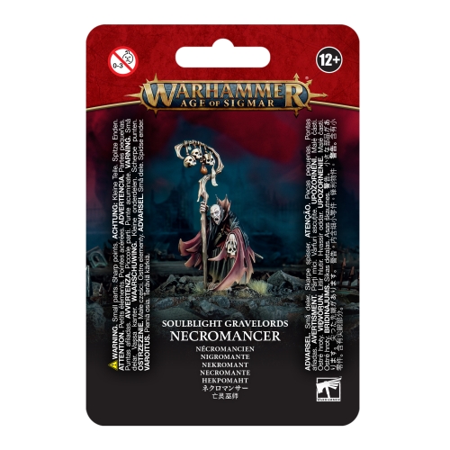 Cheap Miniature Soulblight Gravelords Necromancer from Games Workshop